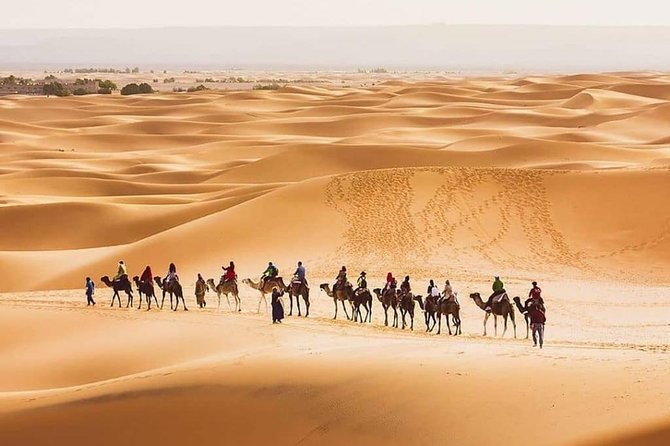 5 Days Trip Only Desert - Health and Safety Guidelines
