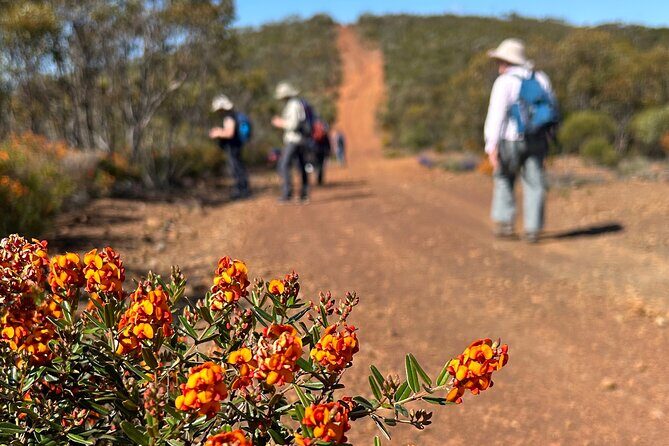 5 Days Walking with Wildflowers - Fitzgerald Biosphere - Who Should Consider This Tour?