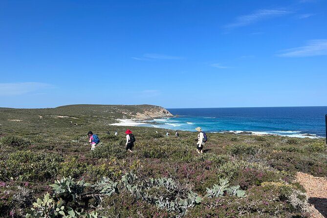 5 Days Walking with Wildflowers - Fitzgerald Biosphere - FAQs