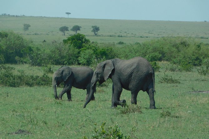 5 Days Wildlife Adventure - Cultural Experiences