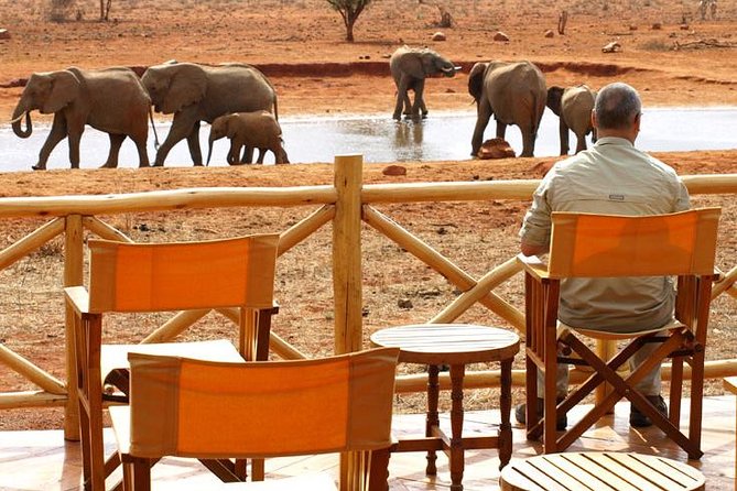 5 Days Wildlife Adventure - Mombasa - Essential Logistics
