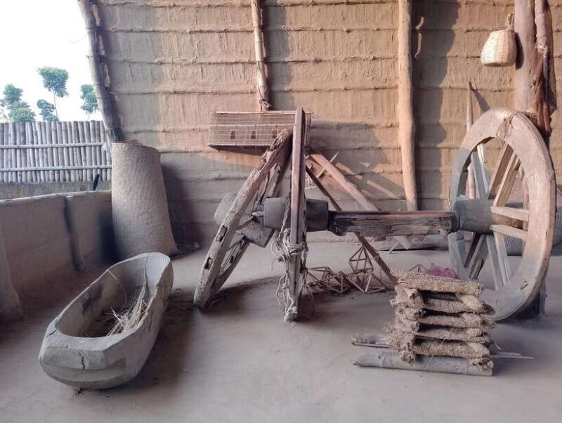 5 Days with One Tower Night Stay in Chitwan National Park - The Sum Up