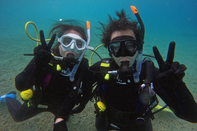 5 Hour Beginners Diving Course Experience in Amami Island - Cancellation and Refund Policies