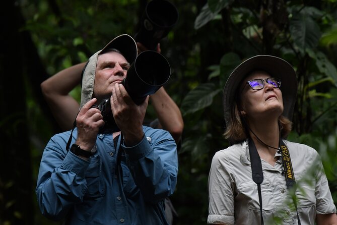 5-Hour Birdwatching and Photography Tour in Monteverde - Tour Overview