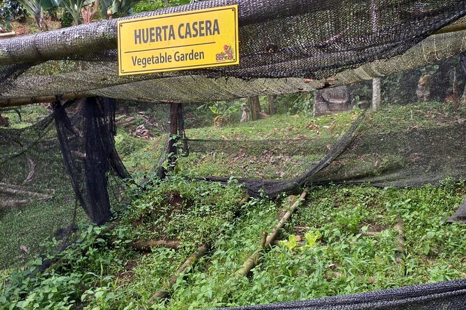 5-Hour Coffee and Pablo Express Mix Tour in Medellín - Tour Highlights