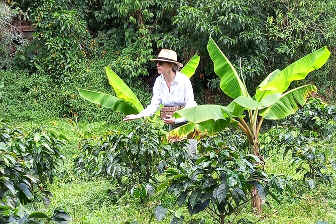 5-Hour Coffee and Pablo Express Mix Tour in Medellín - Itinerary Overview