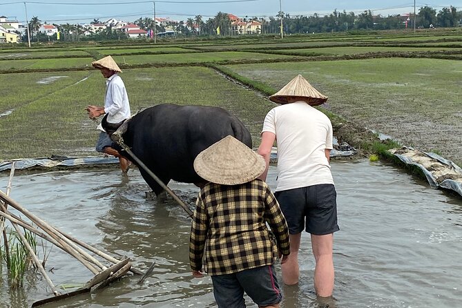 5-Hour Discovery Countryside by Cycling, Buffalo and Basket Boat - Taking in Local Culture and Traditions