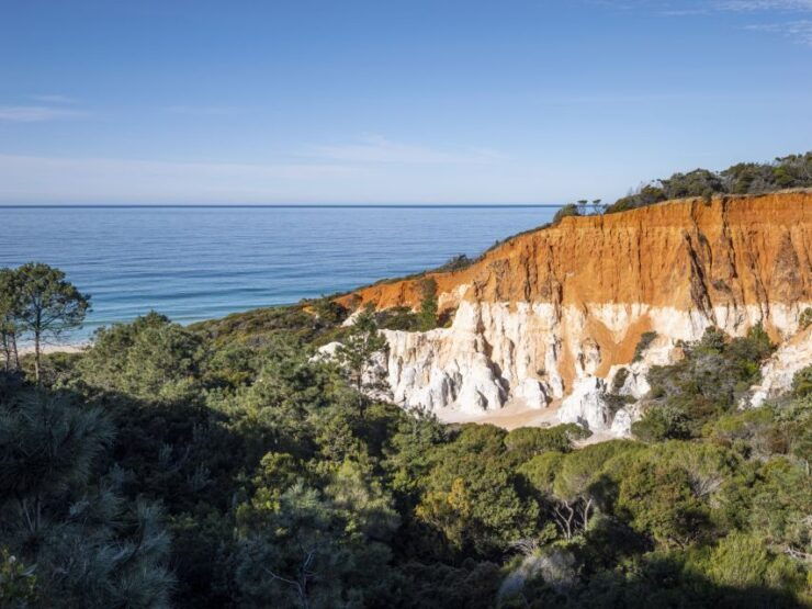 5-hour Eden Small Group Tour: Beaches, Lookouts and More - Live Tour Guide and Private Experience