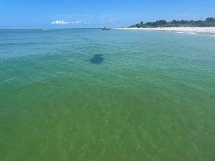 5-Hour Egmont Key Tour in St. Pete - Inclusions and Booking Details