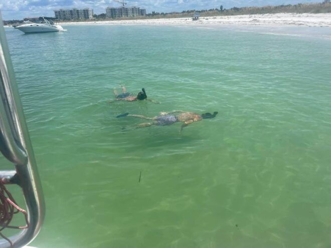5-Hour Egmont Key Tour in St. Pete - Common Questions