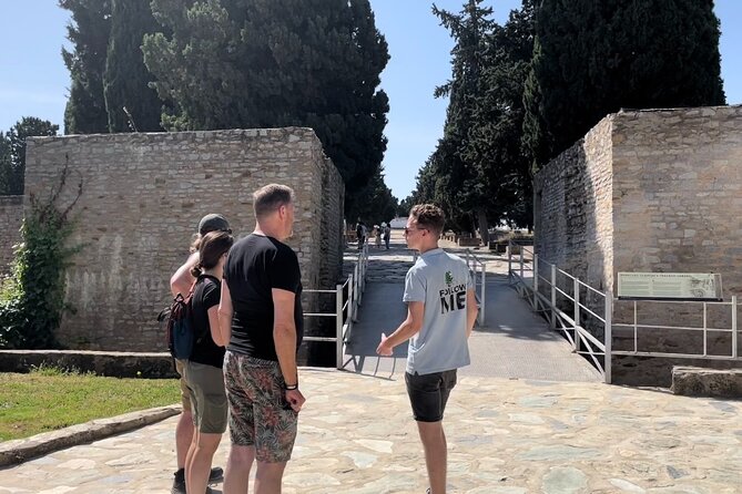 5 Hour Electric Bike Tour to the Ruins of Italica - Inclusions and Services