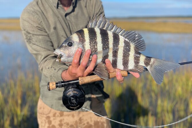 5 Hour Fishing Charter in Charleston - Inclusions and Services