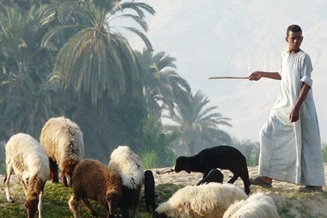 5-Hour Guided Tour to Pharaonic Village in Cairo - What To Expect on the Tour