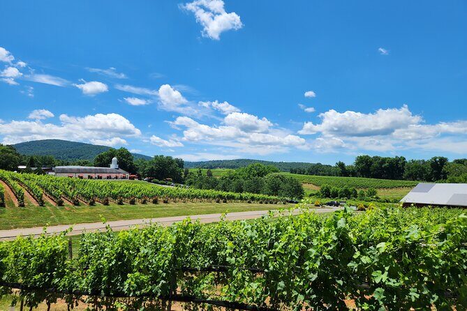 5 Hour Historic Thomas Jefferson Wine Tour - Good To Know