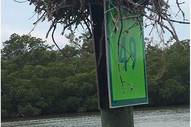 5 Hour Keewaydin Island Beach Tour - Who would love this tour?