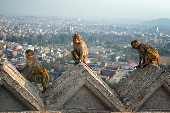 5-Hour Leisure Tour of Kathmandu: Chandragiri and Swayambhunath - Overview of the Tour