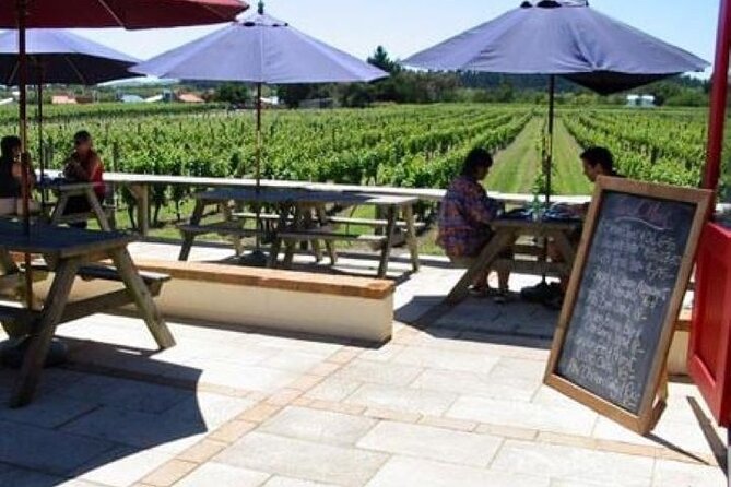 5 Hour Martinborough Bespoke Shared Wine Tour With Gourmet Lunch - The Sum Up