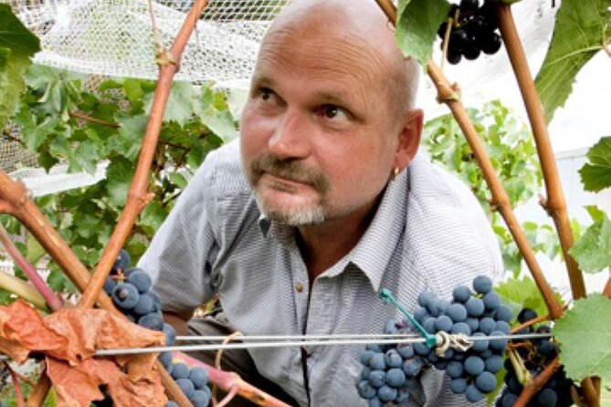 5 Hour Martinborough Private 3 Wine Tastings Tour With Lunch - Terms and Conditions