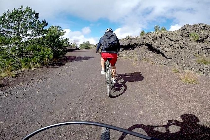 5-Hour Mount Etna Mountain Biking Private Tour From Catania - Tour Pricing and Booking Details