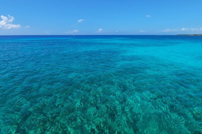 5-Hour Private 40 Luxury Catamaran 2-Stop Tour W/ Food, Open Bar & Snorkeling - Lunch of Ceviche or Alternative Provided