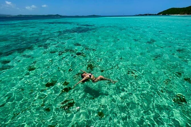 5 Hour Private Boat Trip in Puerto Rico - The Sum Up