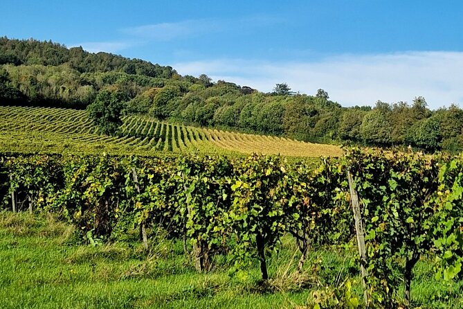 5- Hour Private Countryside Tour in Surrey With Wine Tasting - Meeting and Pickup Information