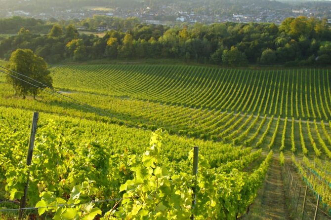 5- Hour Private Countryside Tour in Surrey With Wine Tasting - The Sum Up and Additional Information