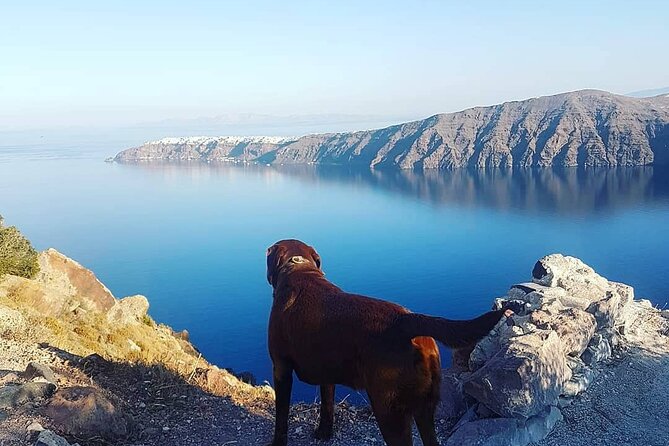 5-Hour Private Custom Santorini Tour - Pricing and Terms & Conditions