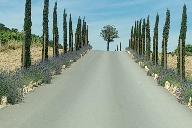 5-Hour Private Sightseeing Tour of the Provence From Marseille in Luxury Car - Recommendation of Bruno and the Tour