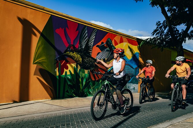 5-Hour Road to San Nicolas Culture Heritage E-Bike Aruba - Pricing and Booking Details