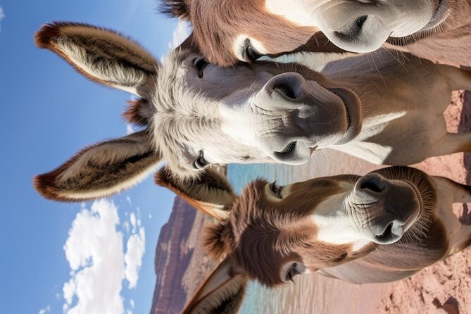 5 Hour Self Guided 4x4 Adventure: Picnic and Paddleboards - Adventure Overview