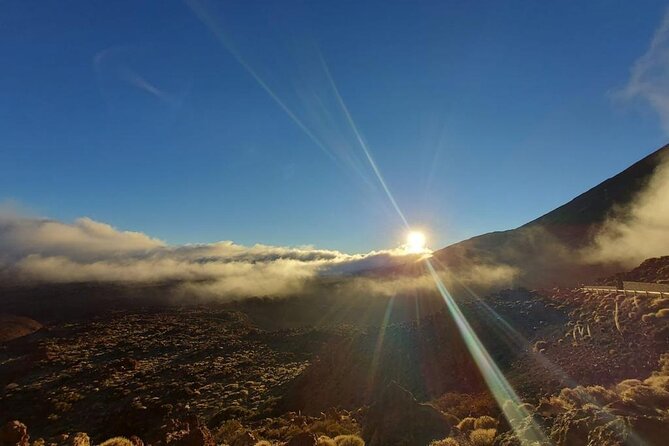 5 Hour Stargazing and Teide Tour With Dinner - Common Questions