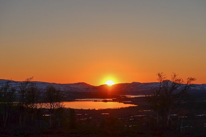 5-Hour Sweden Private Guided Evening Hike Spotting the Lek: the Great Snipe - Cancellation Policy for the Evening Hike