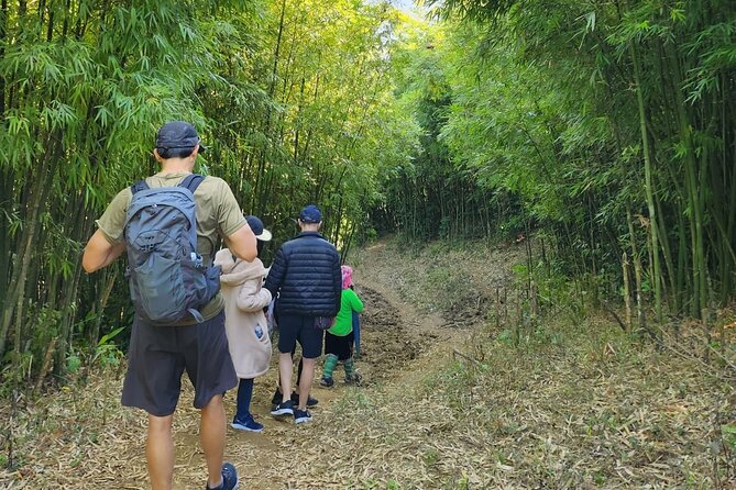 5 Hour Tour in Sa Pa: Muong Hoa Valley Trek and Local Ethnic Villages - The Sum Up