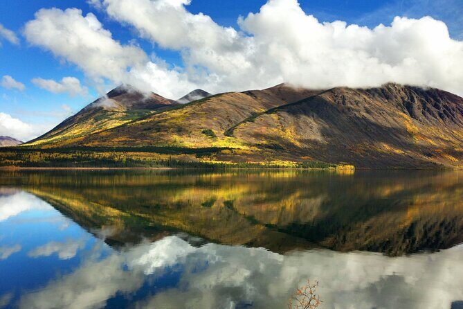 5 Hour Tour to the Yukon Border with Suspension Bridge - Transportation and Group Size