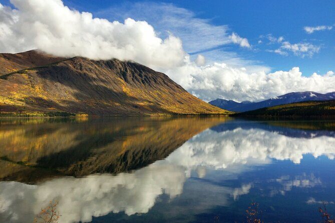 5 Hour Tour to the Yukon Border with Suspension Bridge - Pricing and Value
