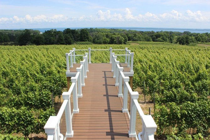 5-Hour Traverse City Wine Tour: 4 Wineries on Old Mission Peninsula - The Sum Up