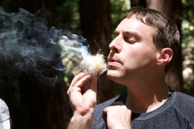 5-Hour Wilderness Skills & Survival Clinic - Inclusions