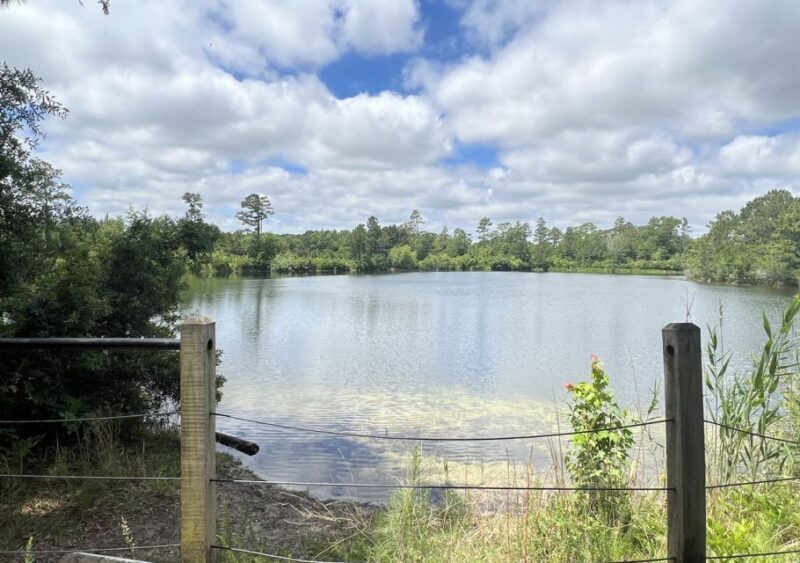 5-Hour Wilmington River to Sea E-Bike Self-Guided Tour - An In-Depth Look at the Tour Itinerary