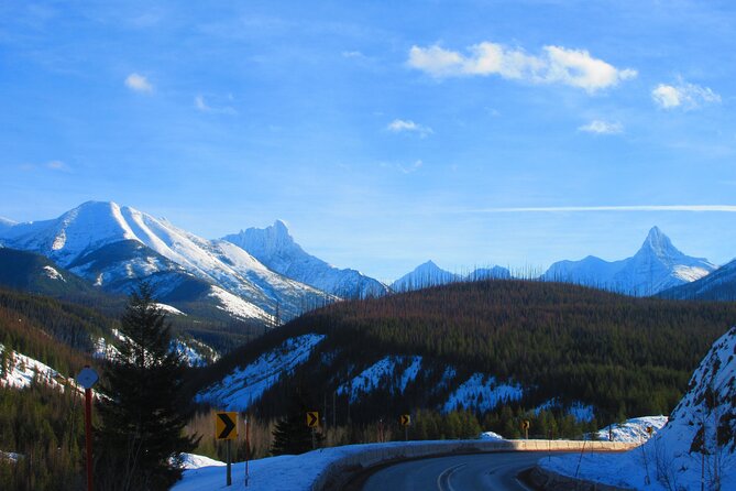 5 Hours Glacier National Park Driving Tour - Tour Overview