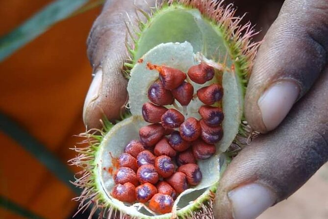 5 Hours Guided Spice Tour and Cooking Class in Zanzibar - Meeting, Pickup, and Requirements