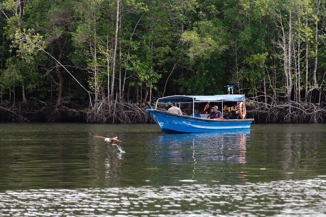 5 Hours Mangrove Boat Tour in Langkawi - Pickup Details
