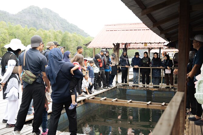 5 Hours Mangrove Boat Tour in Langkawi - Customer Reviews