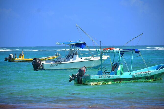 5 Hours Mayan Snorkeling Experience in Tulum - Final Thoughts: Who Should Book?
