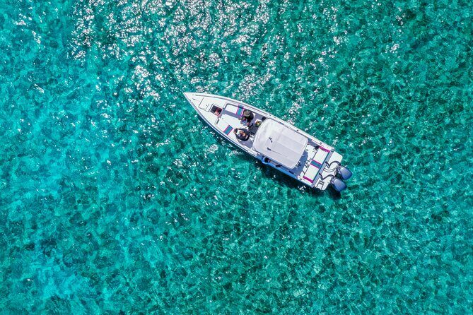 5 Hours Pigs and Turtles with Beach Stop in Bahamas - Good To Know