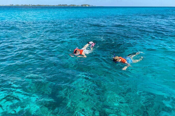 5 Hours Pigs and Turtles with Beach Stop in Bahamas - An In-Depth Review of the Bahamas Pigs & Turtles Tour