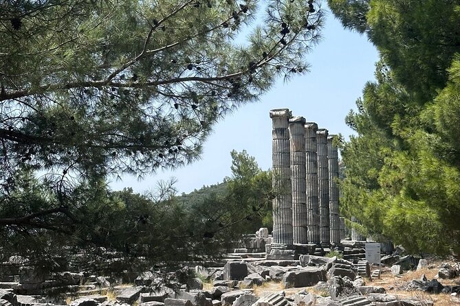 5 Hours Priene-Miletos-Didyma Customisable Private Tour - The Sum Up