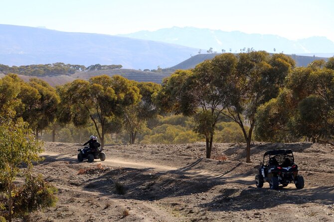 5 Hours Private Quad Excursion in the Heart of the Atlas With Lunch - Inclusions Provided