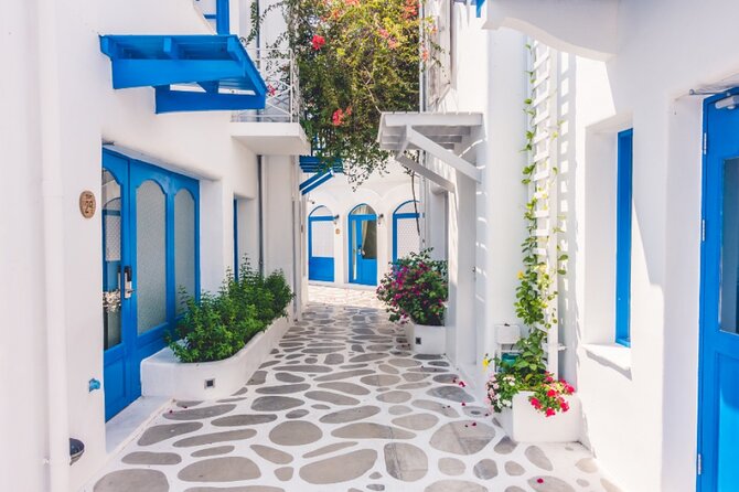 5 Hours Private Tour in Santorini - Pricing Details