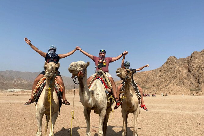 5-Hours Quad Bike Safari Desert With Oriental Show in Hurghada - Customer Reviews